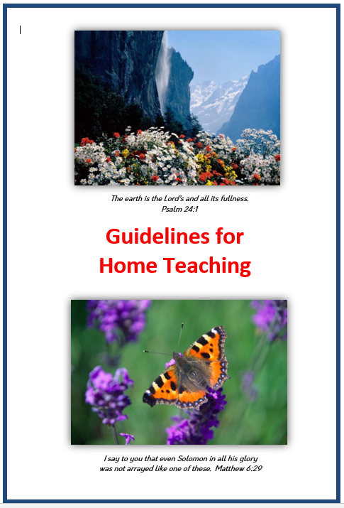 Guidelines for Home Teaching